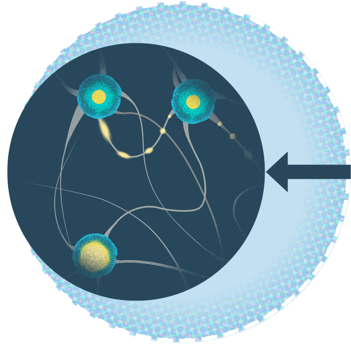 Circle graphic representing 24-27% reduction in the number of adults with respiratory problems such as asthma and COPD