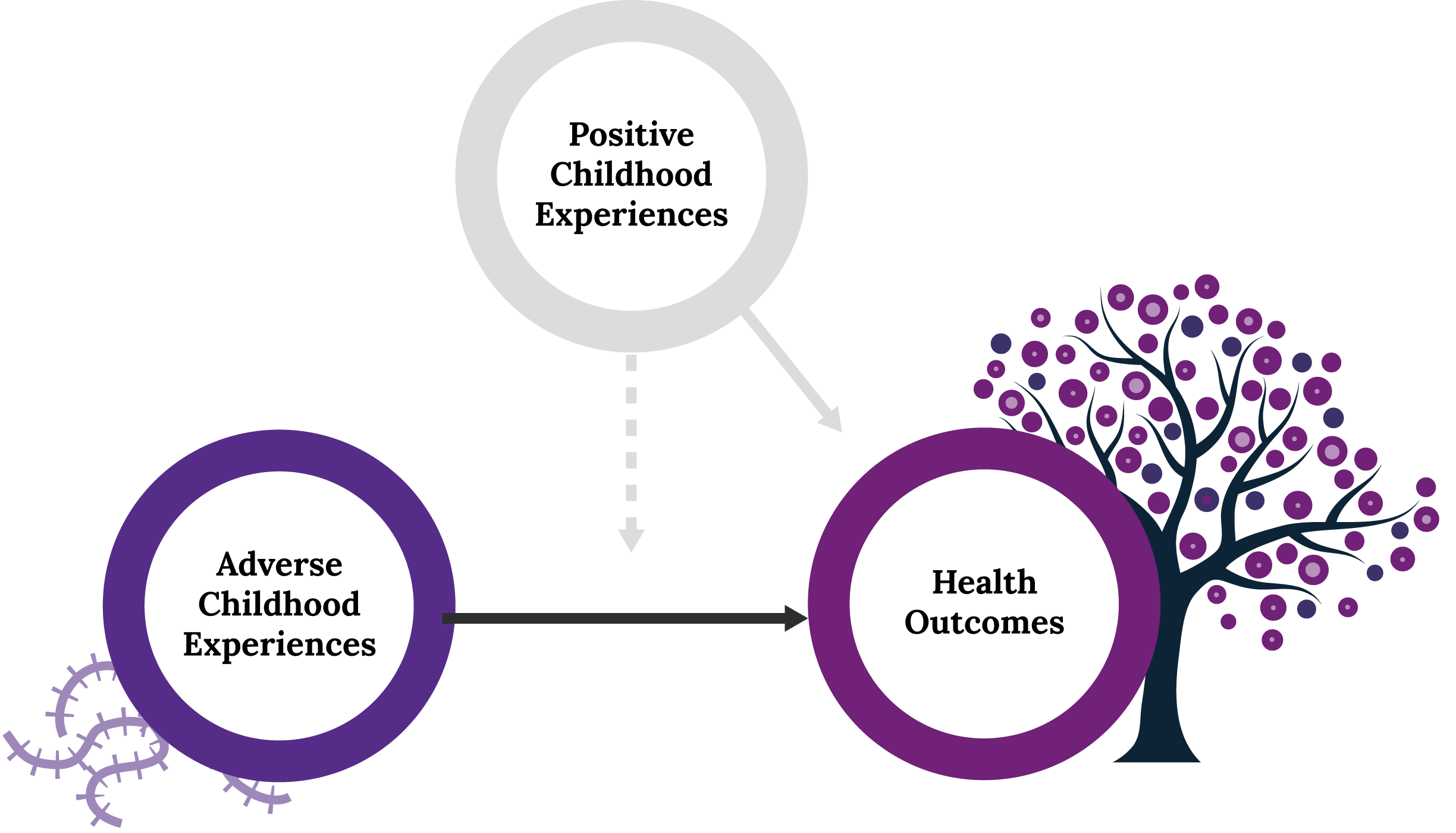 3 circles adverse childhood experiences and health outcomes
