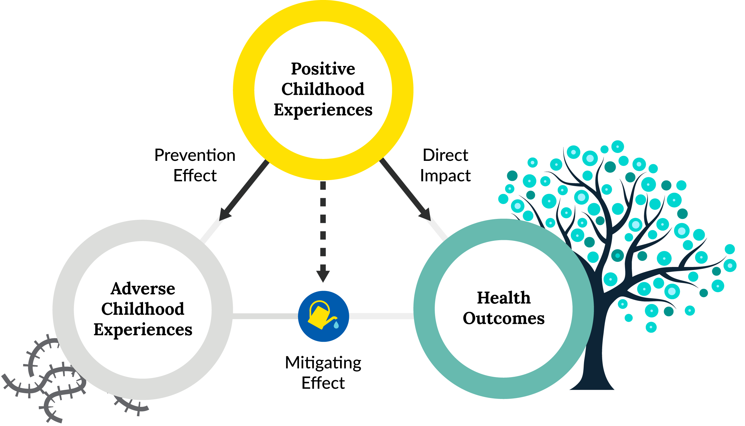 3 circles adverse childhood experiences and health outcomes with mitigating effect water pale