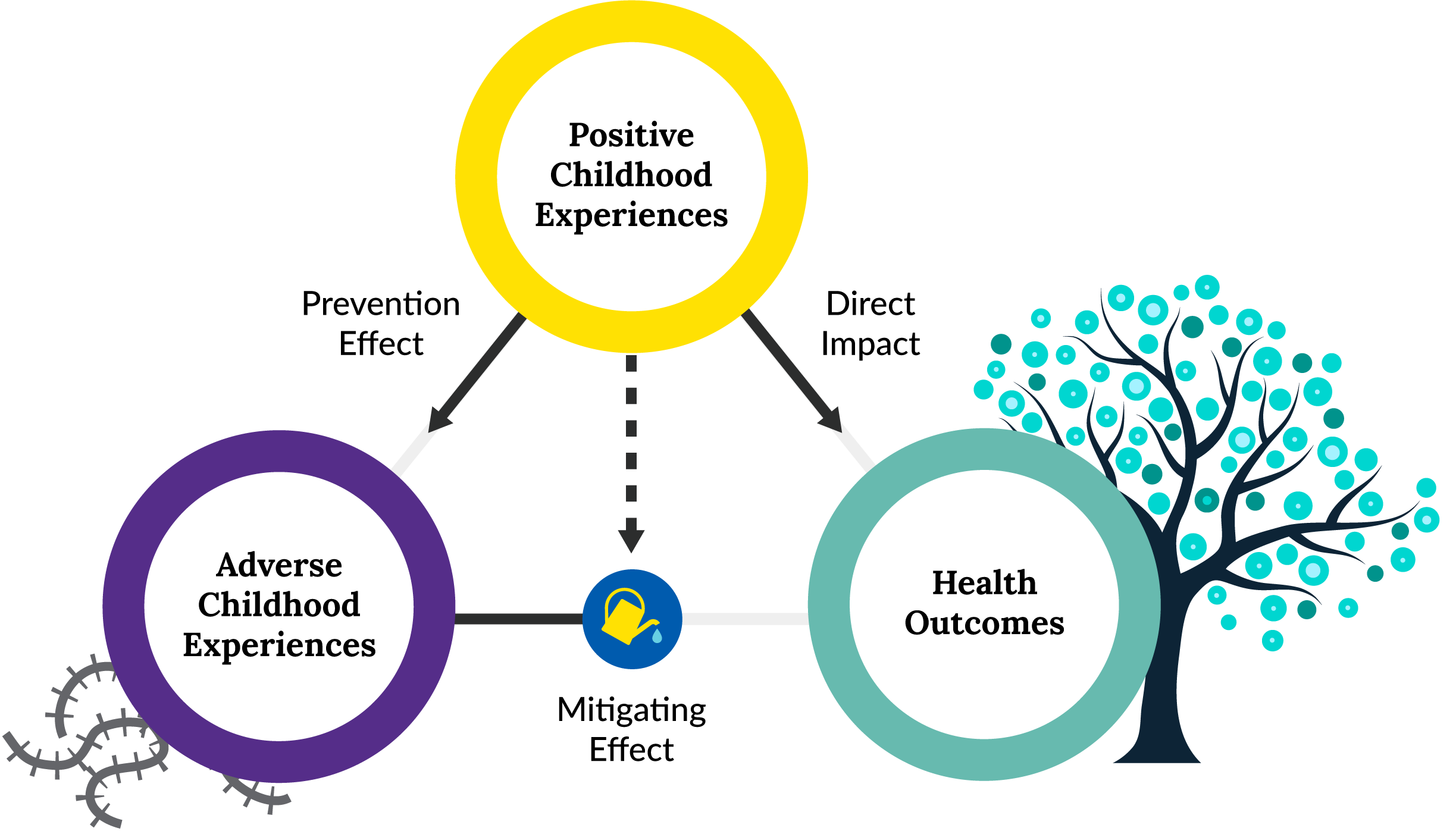 3 circles adverse childhood experiences and health outcomes with mitigating effect water pale preventing and directly impacting