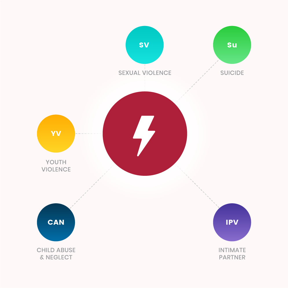 Risk Factor - Neighborhood poverty associated with sexual violence, suicide,  intimate partner violence, child abuse and neglect, and youth violence.