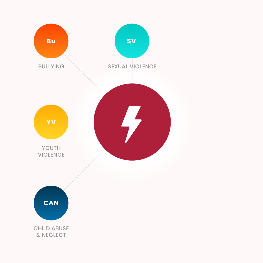Risk Factor - Community violence associated with bullying, sexual violence,  child abuse and neglect, and youth violence.