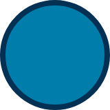 whole circle icon