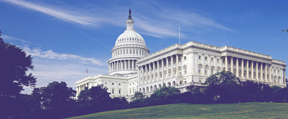 Policy in Action logo