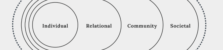 Social-Ecological Model preview