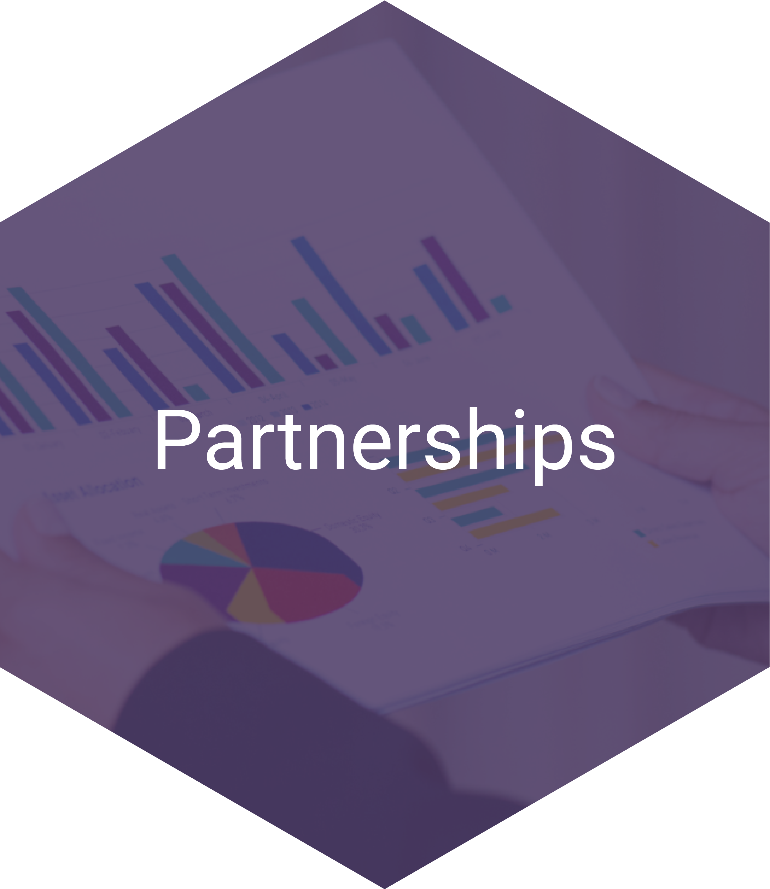 Partnerships Hexagon Navigation Item