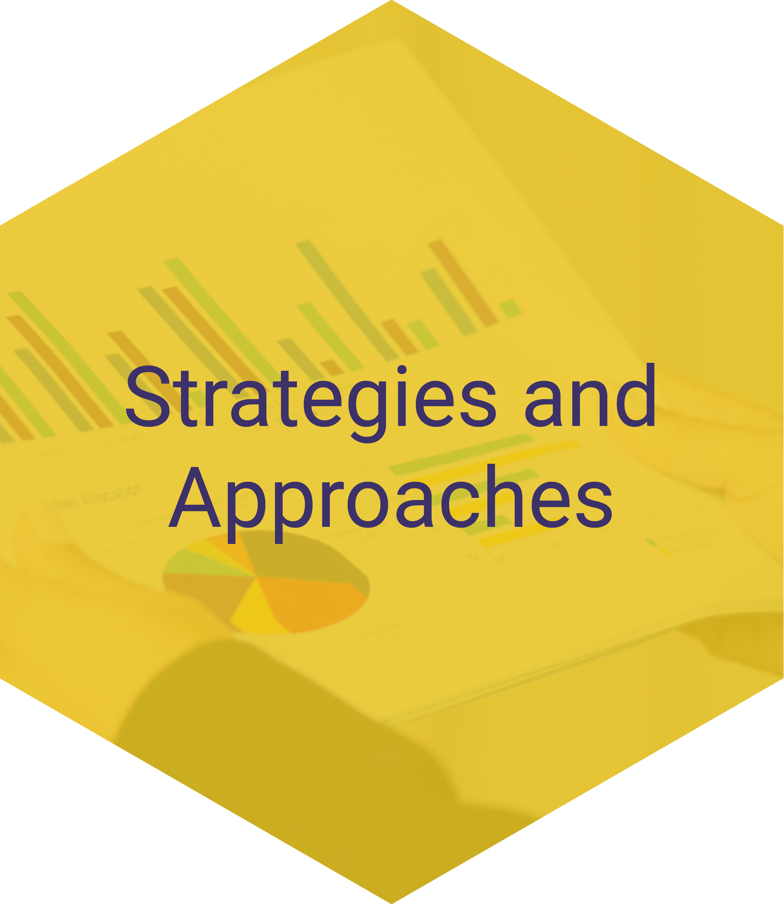Strategies and Approaches Hexagon Navigation Item