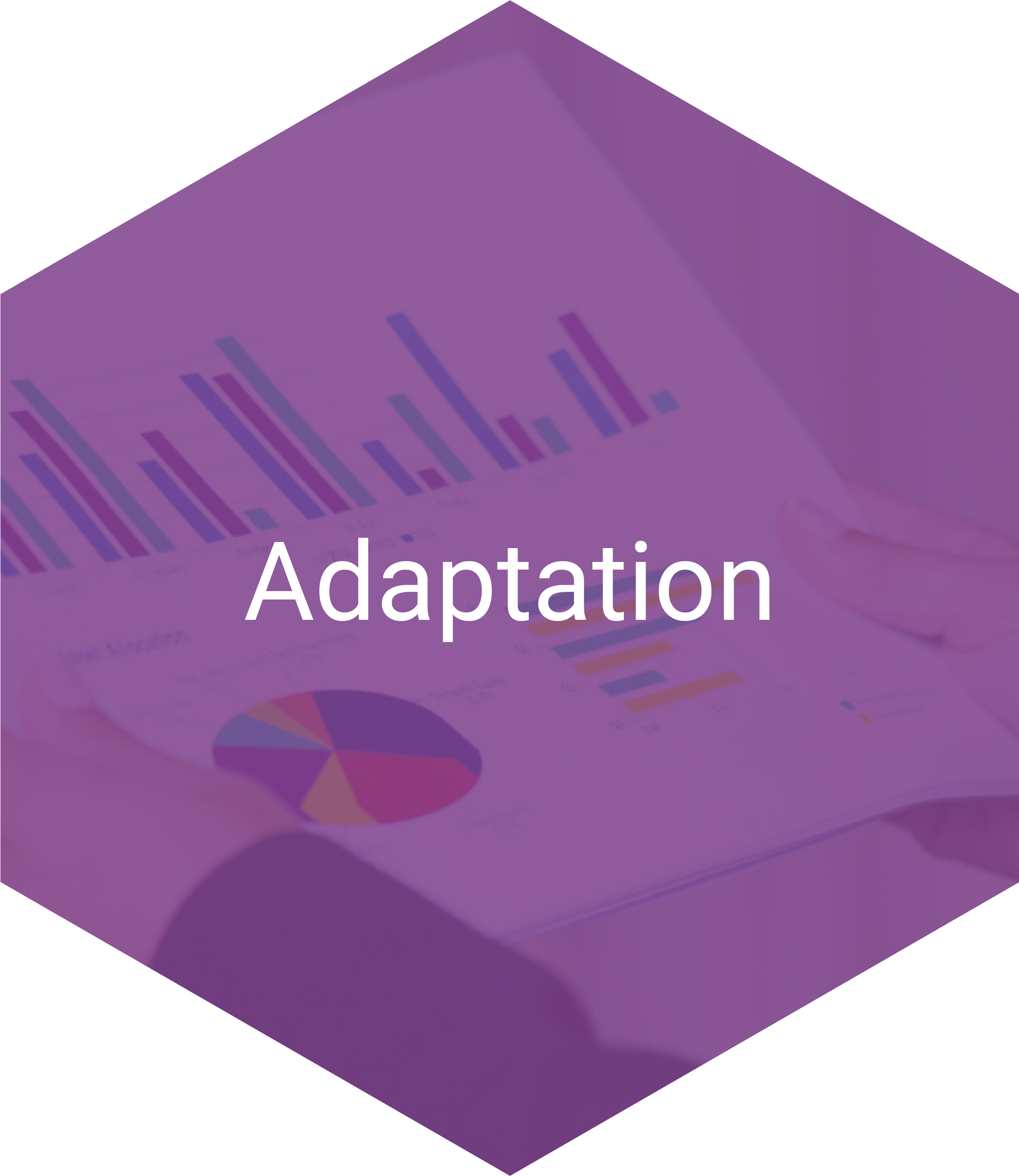 Adaptation Hexagon Navigation Item